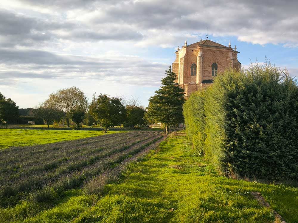 Lavanda cerca del monasterio