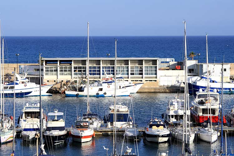 El puerto pesquero